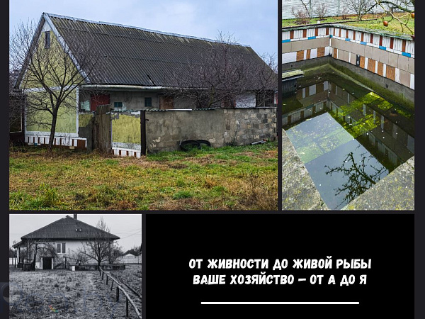 Дом  - Брестский р-н район, деревня Заболотье - В продаже