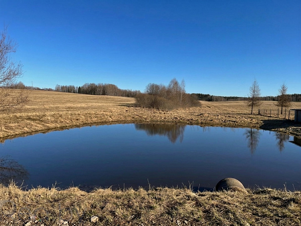 Участок, 25 соток, Логойский р-н, деревня Карпиловка