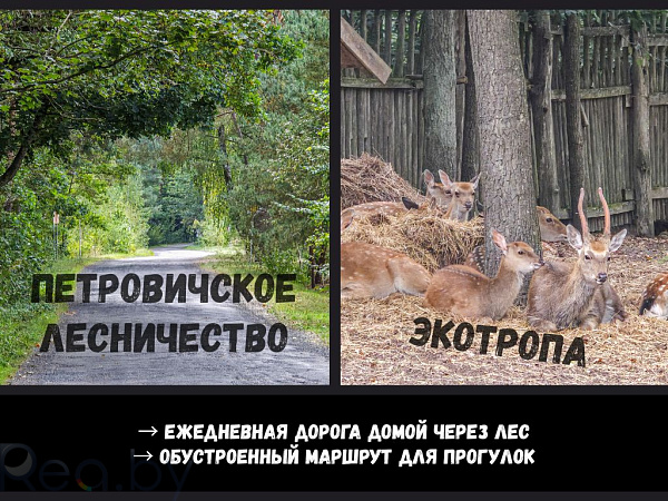 Загородная недвижимость, 164 кв.м., Жабинковский р-н, деревня Замошаны